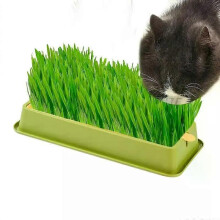 Cat Grass Planter Layered Cat Plant Soilless Bekvämt Cat Grass Kit 4 stilar Husdjurstillbehör Multifunktionell