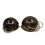 Coconuts Shell Top Coconuts BH Coconuts Top Bröllopsrekvisita för kvinna 3