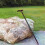 Detachable Walking Cane Adjustable Stick Elderly (chicken Wing Three-section Grip) Wooden Walker 2