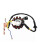 Spole 12-polig Stator DC Spole Tändstator för GY6 125Cc 150Cc 5