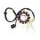 Spole 12-polig Stator DC Spole Tändstator för GY6 125Cc 150Cc 3