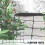 Elastic Polyester Growing Tent Stretchable Mesh Trellis Net Plant Support With 4 Hooks Support Garden 3
