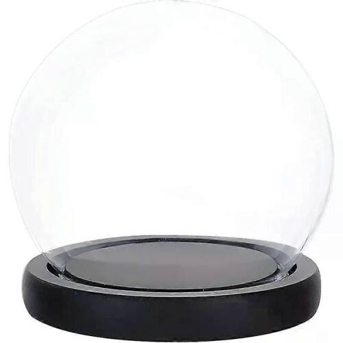 Glass Display Dome Cloche with Black Wood Base Decorative Display Dome Case Globe