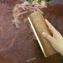 Spazzola per la toelettatura dei cavalli Raschietti con manico in legno Spazzola per la toelettatura