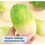 Toys Cabbage Decompression Simulation Vegetables Kneading Relief Gift Anxiety 5