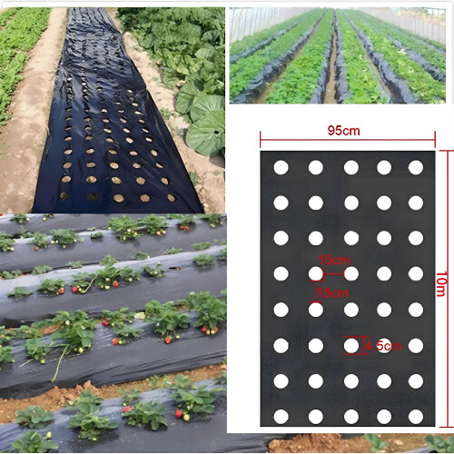 Paillis perforé pour jardinage, fleurs, légumes, semis, plantes