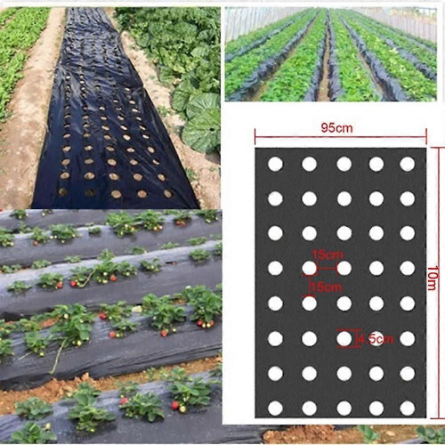 Paillis perforé pour jardinage, fleurs, légumes, semis, plantes 1