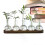Växtförökningsstation med träställ Hydroponisk vintageväxt Terrariumplantering Vattenplantering 2