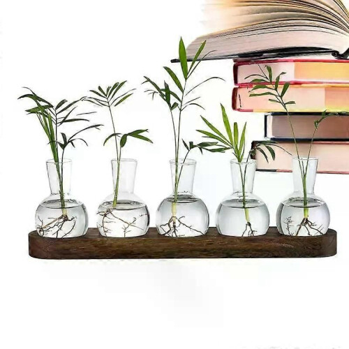 Växtförökningsstation med träställ Hydroponisk vintageväxt Terrariumplantering Vattenplantering 1