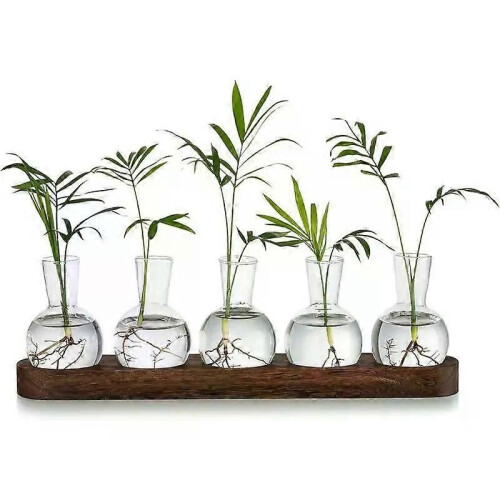 Växtförökningsstation med träställ Hydroponisk vintageväxt Terrariumplantering Vattenplantering