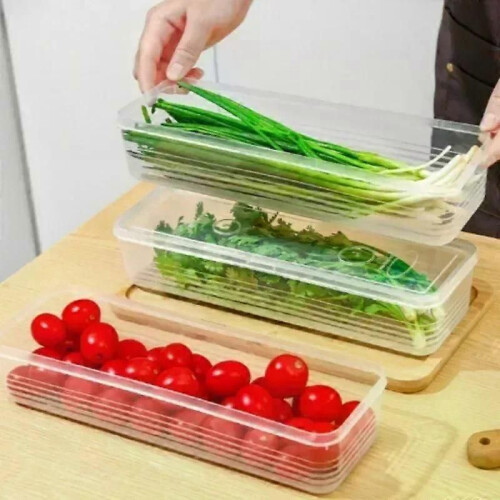 Refrigerator Fresh-keeping Boxes Rectangular Cold Storage Box Scallions Vegetable Coriander with Lid 2