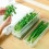 Refrigerator Fresh-keeping Boxes Rectangular Cold Storage Box Scallions Vegetable Coriander with Lid 5