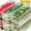 Refrigerator Fresh-keeping Boxes Rectangular Cold Storage Box Scallions Vegetable Coriander with Lid 1