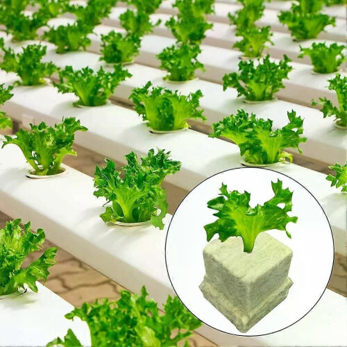 Stenullskuber Hydroponiska startpluggar Jordfri odling Trädgårdstillbehör för hydroponisk plantering 2