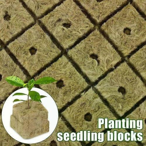 Stenull Startpluggar Stenull Odla kuber Fröstartare Planteringskuber Hydroponics Sticklingar 1