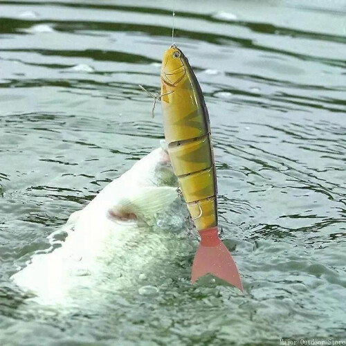 Swimbait Balam 23 cm Lure Madness Riesenköder Balam Köder für große Köder Barsch Wels Hartköder Riesenköder 1