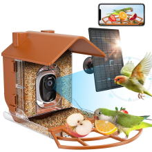 Smart Bird Feeder with Camera, 1080P HD, AI Bird Identification, WiFi App Control, Night Vision, Solar Powered, Real-Time Notifications