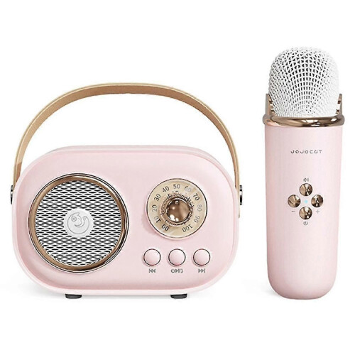 Wireless Bluetooth Audio Portable Amplifier Home Ktv Microphone Children's Karaoke Small Microphon