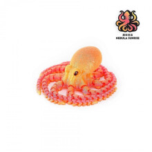 (21Cm Octopus Nebula Sunrise) 3D Printing    Octopus Fish Tank Landscape Decoration Octopus Movable Integrated Joint Creative Hand Office