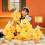 Butterfly Duck Plush Toy 30cm Pp Cotton Plush Doll 7
