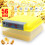 (EU) 56 Automatic Egg Incubator Digital Hatching Poultry Chicken Temperature Control US/EU/UK Plug 3