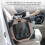 (M) Pet Travel Carrier 8