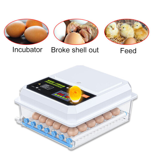 (#1) 36 Egg Automatic Incubator Brooder Digital Fully Hatcher Turning Chicken Duck Humidity Temperature Control Machine with LED Candling Lamp 220V 1