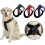 (Blue, L) Pet Dog Harness Walking Chest Strap Belt Lead Leash D-Ring 2