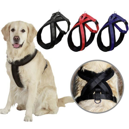 (Blue, L) Pet Dog Harness Walking Chest Strap Belt Lead Leash D-Ring 1