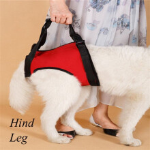 (M, Hind) Pet Auxiliary Belt Dog Harness Carriers Assist Sling Portable Lift Security Support Rehabilitation