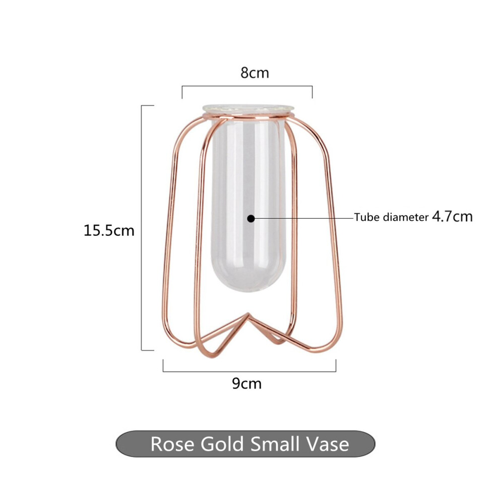 (Rose Gold, S) Glass Planter Test Tube Vase Pot + Retro Iron Stand Holder Plants Flowers Decoration