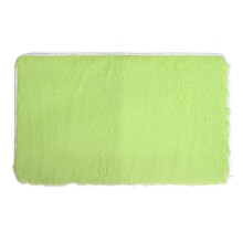 (Green) 80x50cm Absrobent Shaggy Carpet Home Anti Slip Rug Bedroom Soft Mat