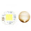 (Warm White) AC100-260V 30W COB LED Chip Bead High Power Integrated Light Source for Spotlight Floodlight 4