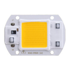 (Warm White, AC110V) AC110V/220V 20W 30W 50W White/Warm White COB LED Chip 40X60mm for DIY Flood Light