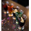 Heavy Base V-Shaped Shot Glasses 35ml 2
