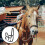 Portable Horse Head Collar Nylon Equestrian Accessory 1set 10