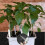 Capillary Mat Vacation Watering Mats 3mm Thick Self Watering Mat System for Potted Plants 3