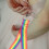 Zipper Jurkritssluiting Polyester 1 Stuk 5