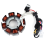 5 Line Stator Coil for YBR125 YBR 125 2005-2014 XT 7