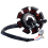 5 Line Stator Coil for YBR125 YBR 125 2005-2014 XT 2