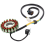 Generator Stator Coil for -Z 400 SM DRZ400E DRZ400 5
