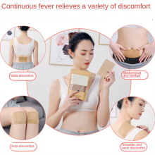 300Pcs Herbals Ginger Patch Plasters Promote Blood