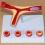 Human Atherosclerosis Cardiovascular Model Vascula 7