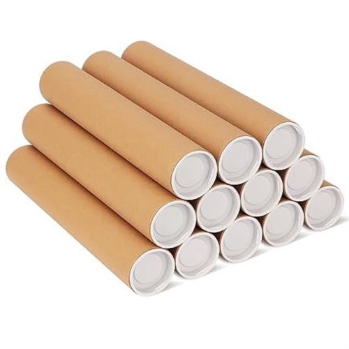 12 Pack Mailing Tubes with Caps for Packaging Post