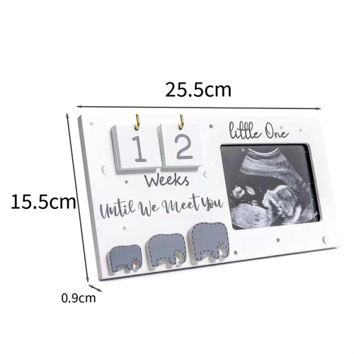 Sonogram Picture Frames, Ultrasound Photo Frames w 2