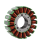 Stator Generator Coil Supplies for 390 6