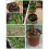 200Pcs Irrigation Drip Support Stakes for 1/4-Inch 7