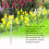 25 PCS Electric Fence Distance Insulators, Plastic 4