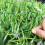 100X Artificial Grass Pins Green Turf Galvanised M 9