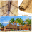 Thatch Roofing for Tiki Bar Mexican Hut Grass Roof 6